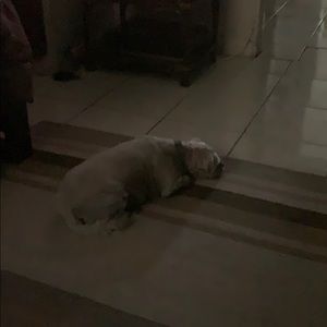 Meet your Posher, Natasha